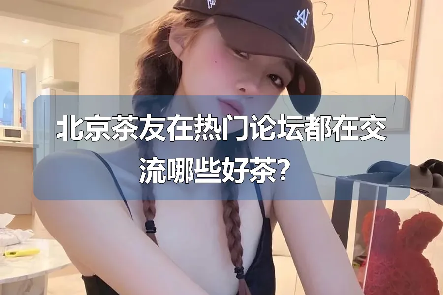 北京茶友在热门论坛都在交流哪些好茶？